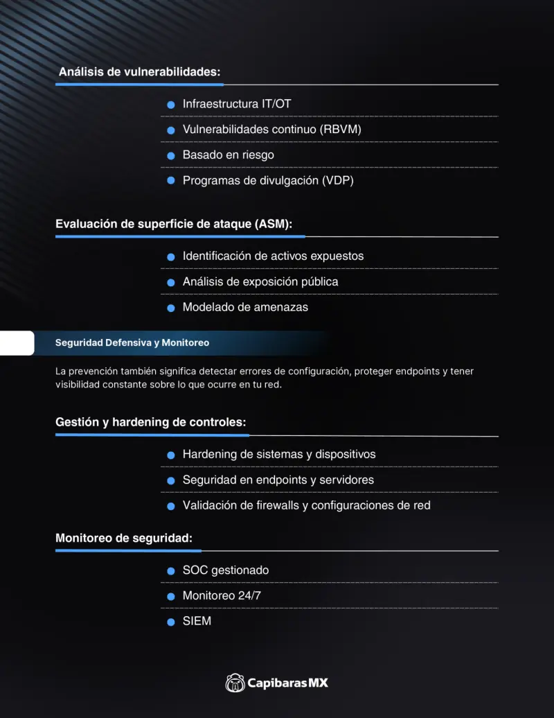 Presentación de servicio, página 9