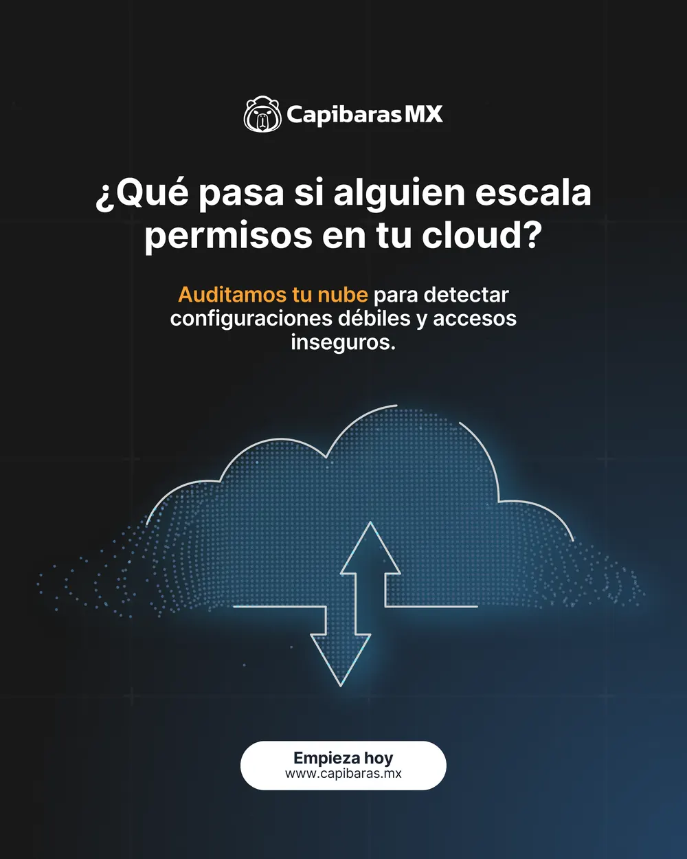 Publicación de CapibarasMX, pieza 3