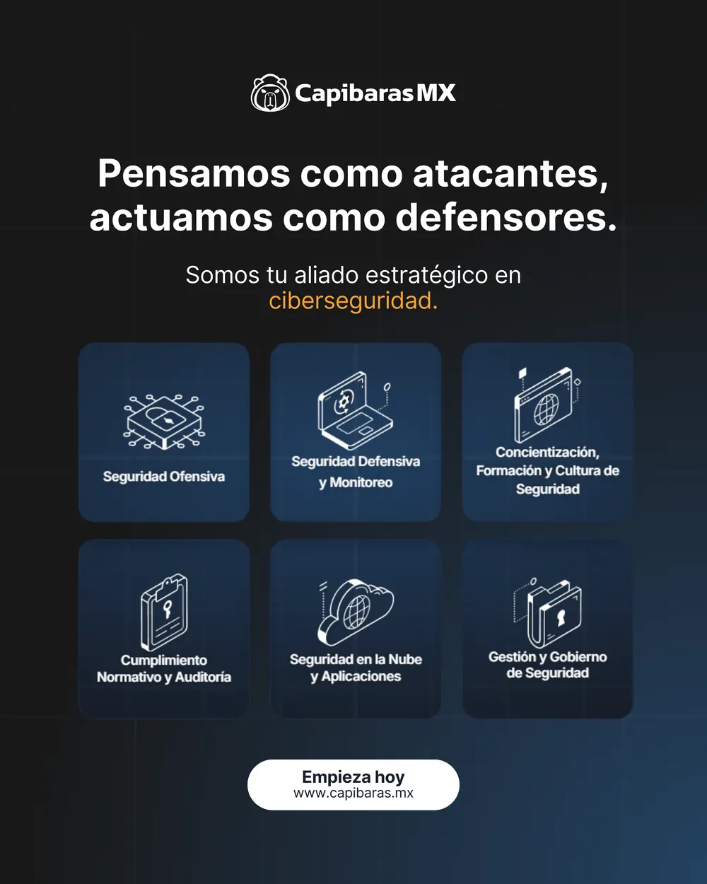 Publicación de CapibarasMX, pieza 4