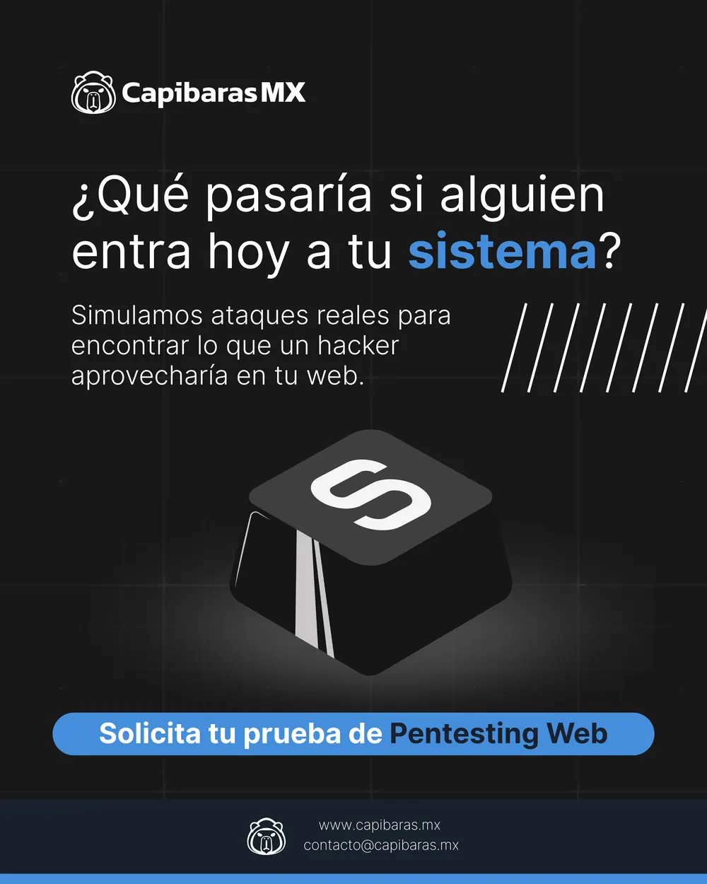 Publicación de CapibarasMX, pieza 7