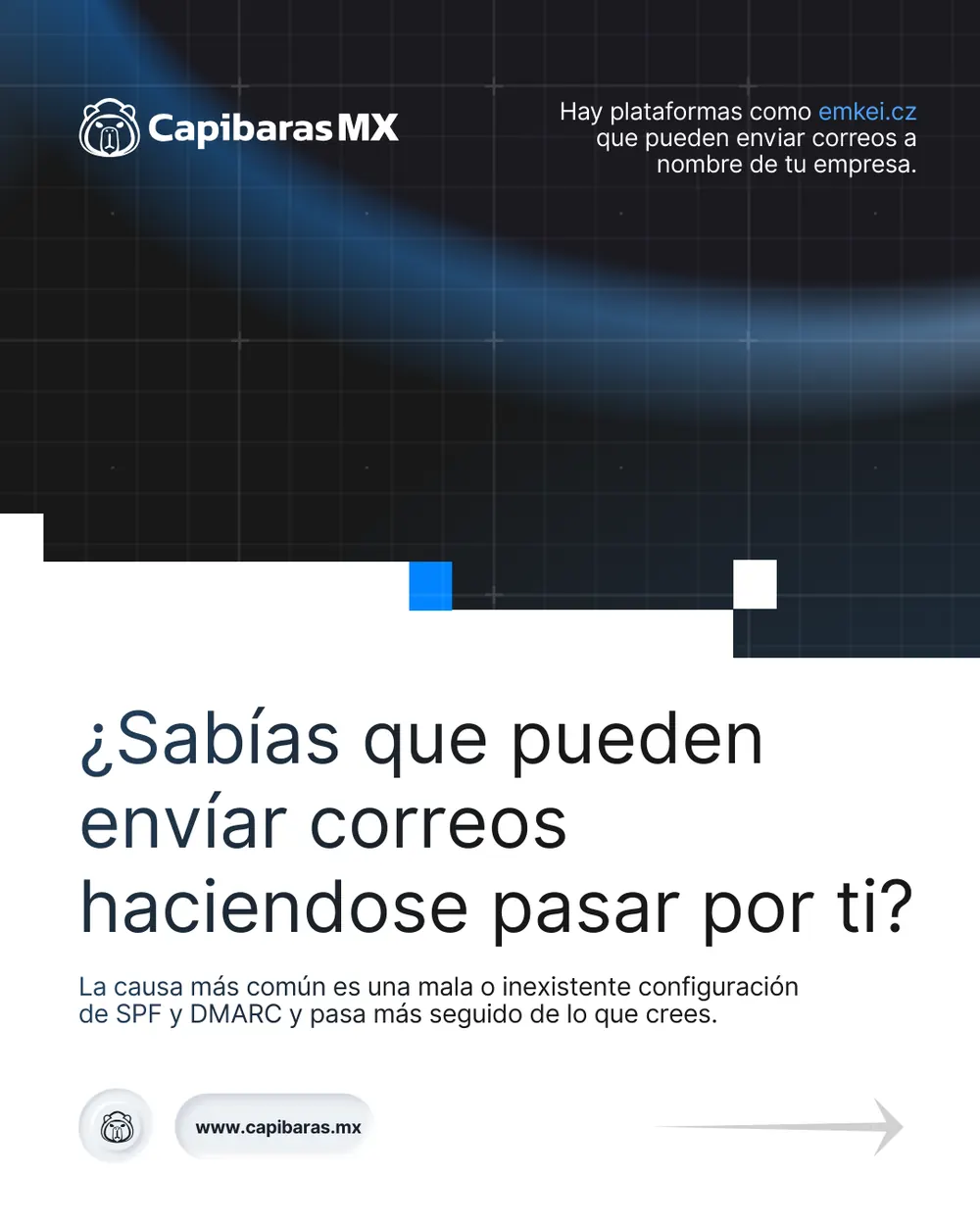Publicación de CapibarasMX, pieza 10