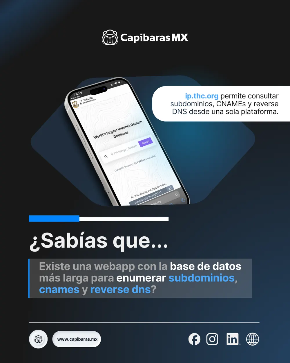 Publicación de CapibarasMX, pieza 13