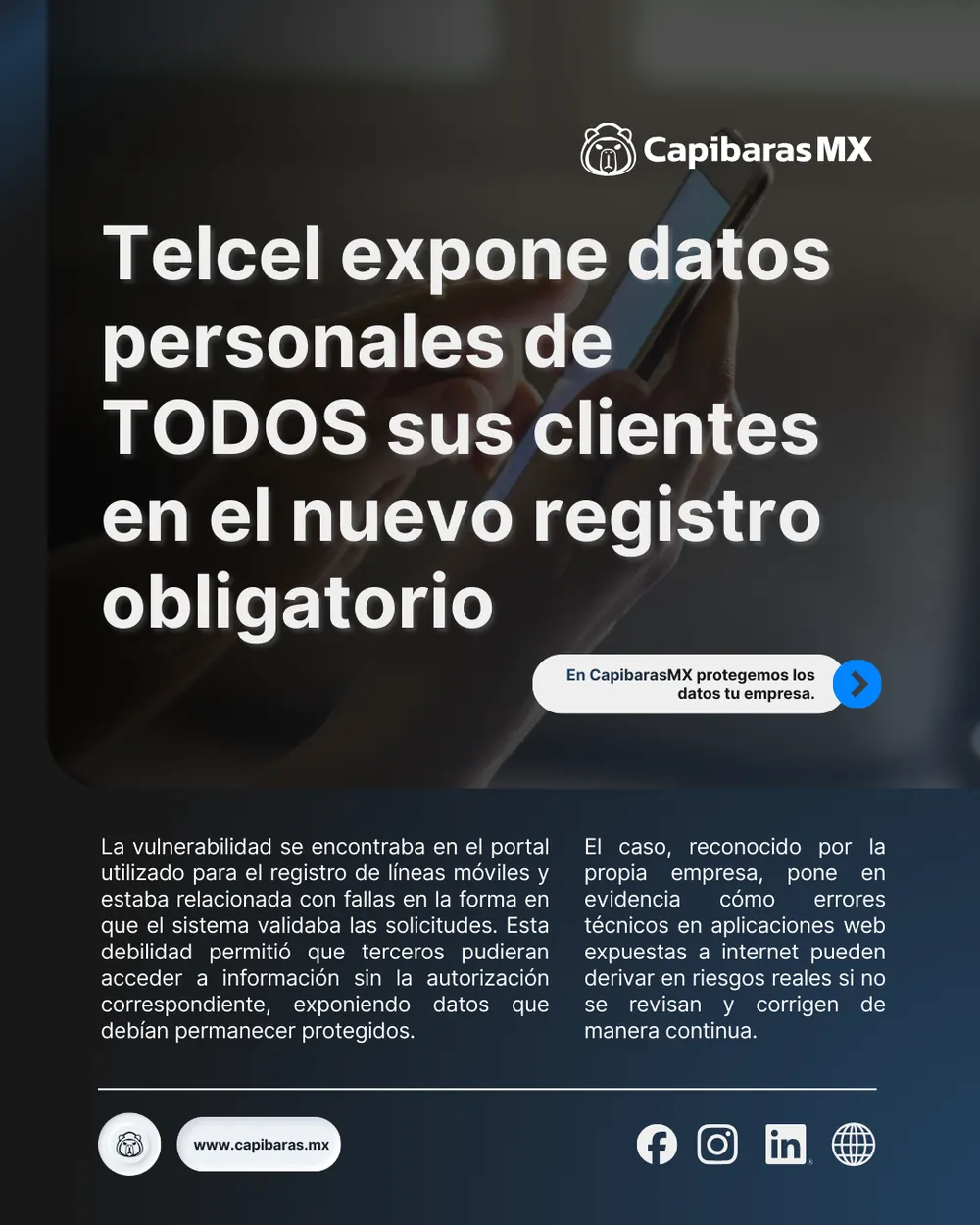 Publicación de CapibarasMX, pieza 14