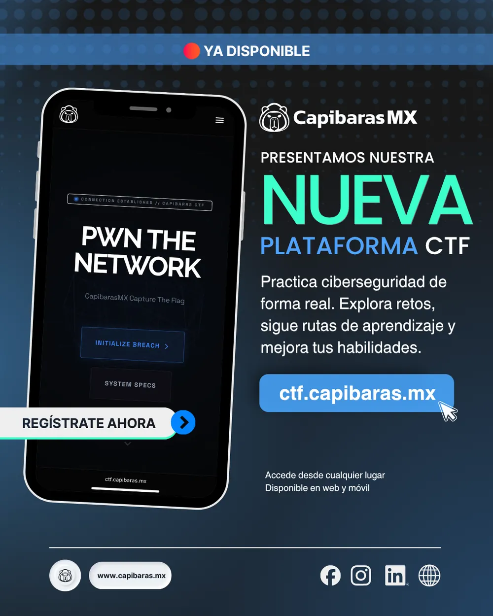 Publicación de CapibarasMX, pieza 16