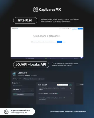 Diseño para Capibaras